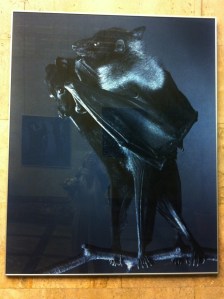 Standesamt Mitte/Sinnbild Ehe Standesamt Mitte/Sinnbild Ehe